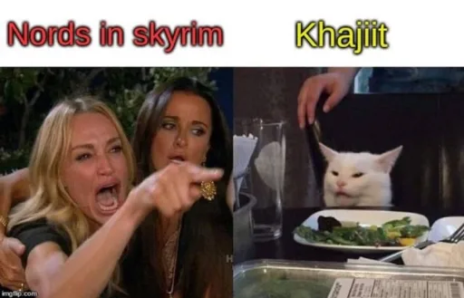 Racist Skyrim